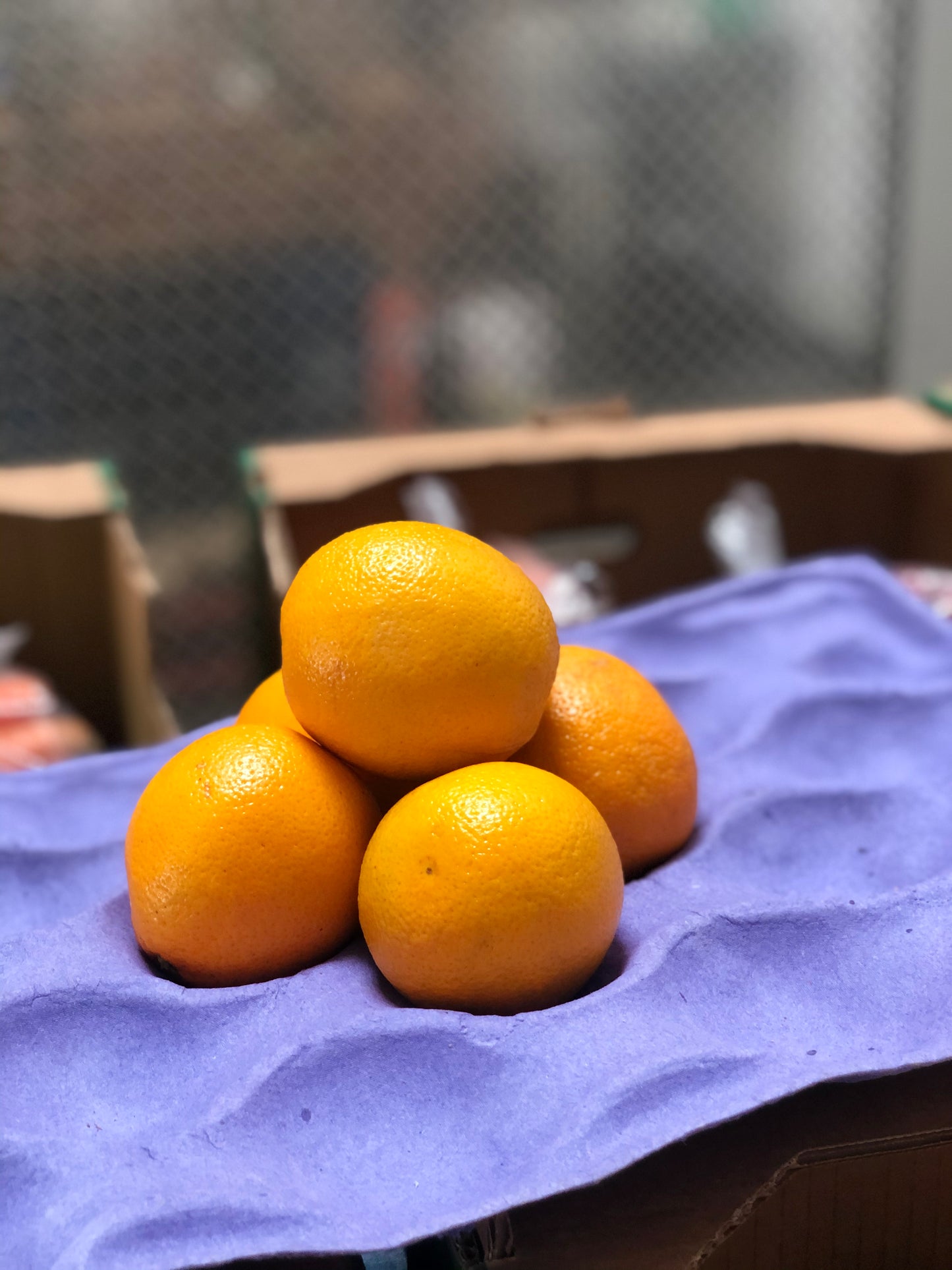 ORANGE - Naranja