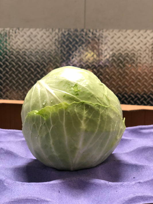 CABBAGE - Repollo