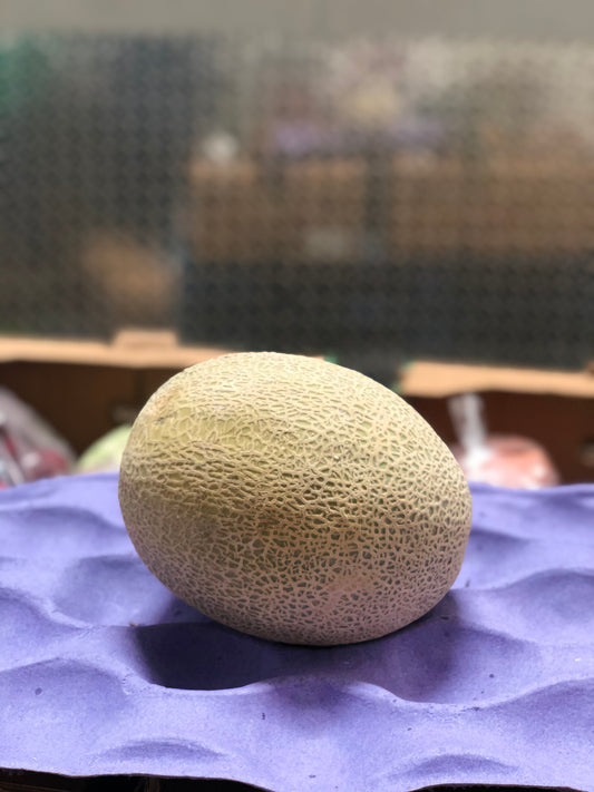 CANTALOUPE - Melon