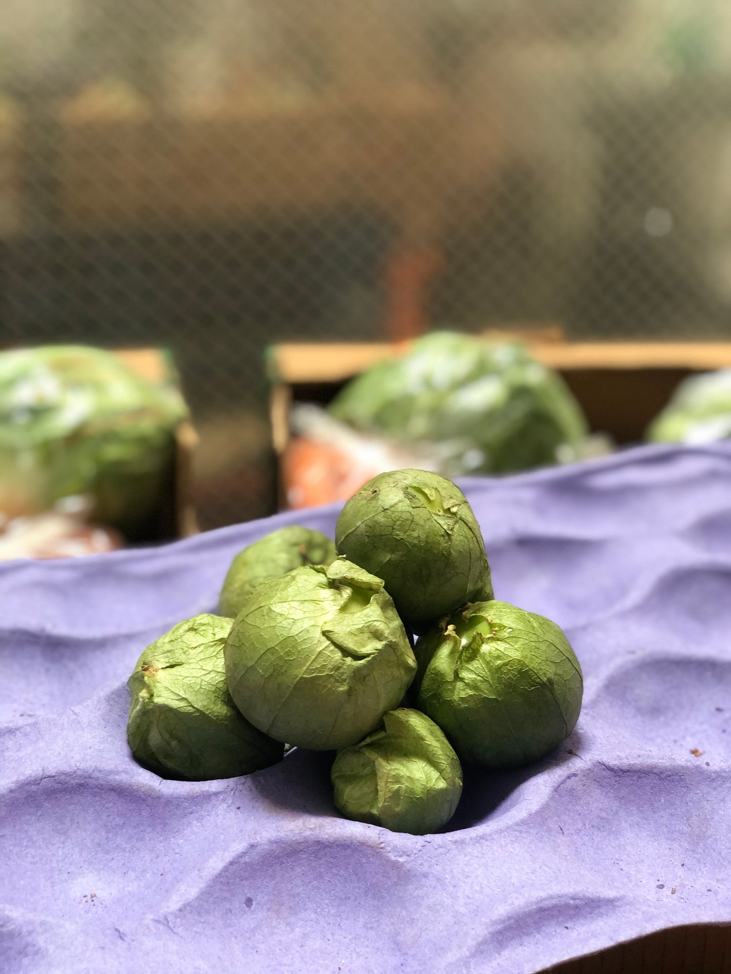 TOMATILLO - Tomatillo