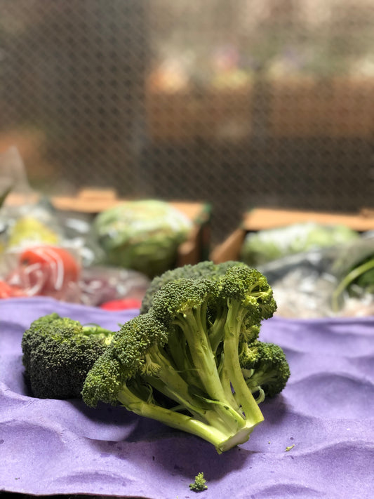 BROCCOLI - Brocoli